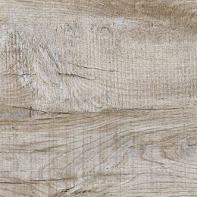 2109 Многолетний дуб 1000х1000px