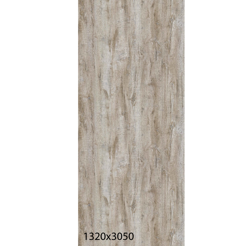 2109-Многолетний-дуб-на-сайт-лист